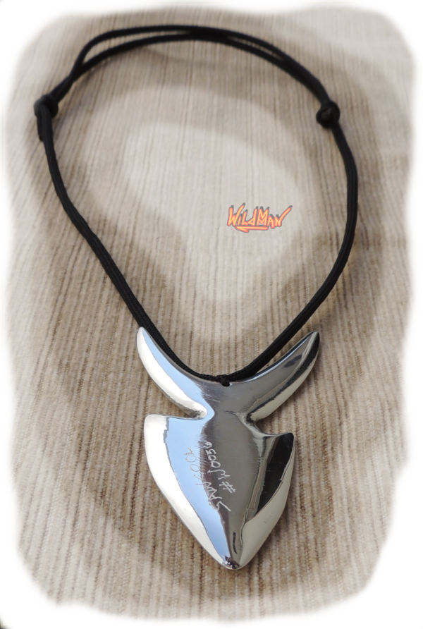 This is an image of Angel Fish 0056.