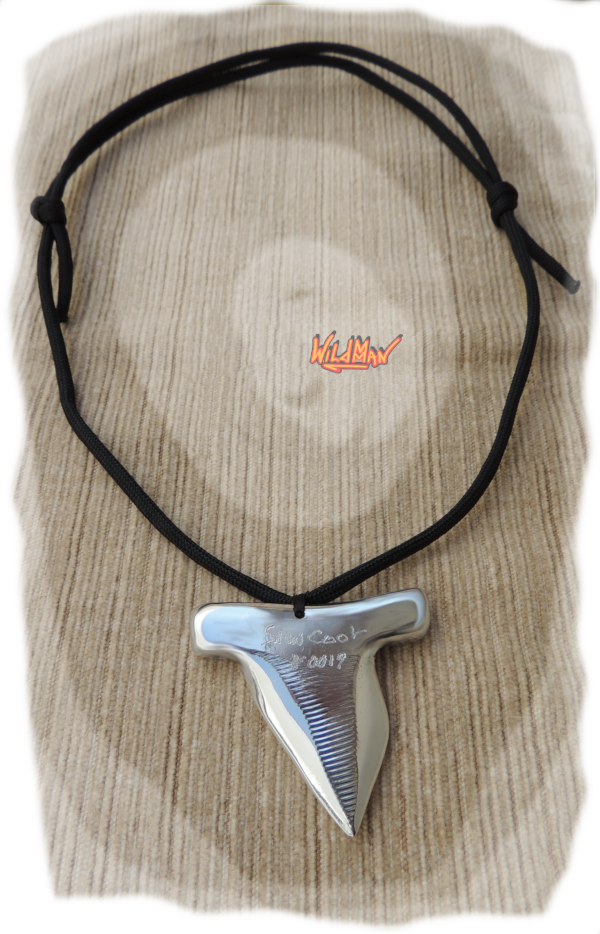 This is an image of Shark's Tooth 0017.