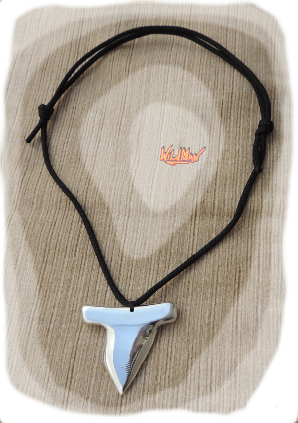 This is an image of Shark's Tooth 0017.