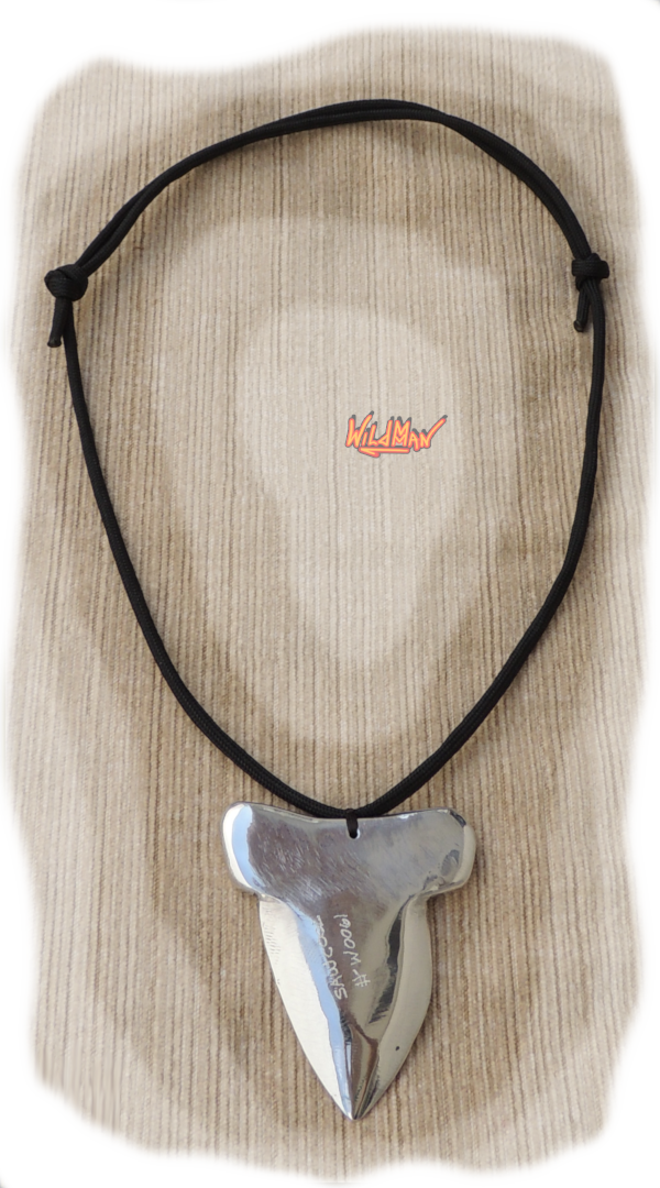 This is an image of Shark's Tooth W0061 Necklace.