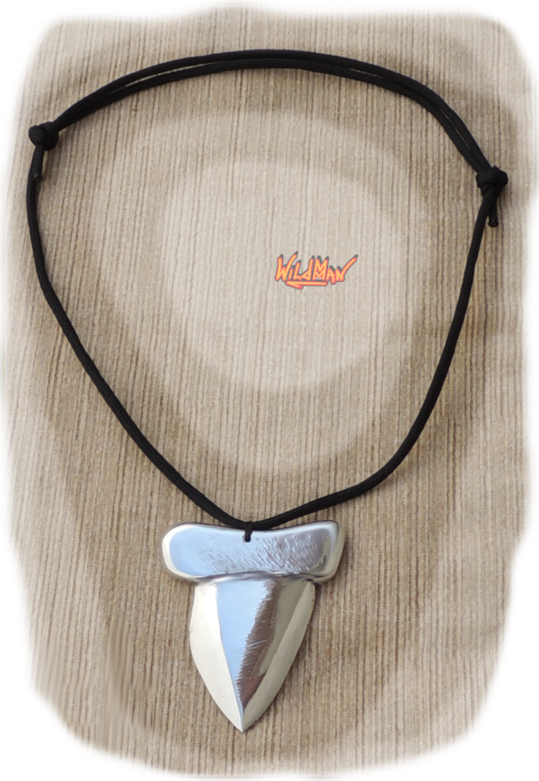 This is an image of Shark's Tooth W0061 Necklace.
